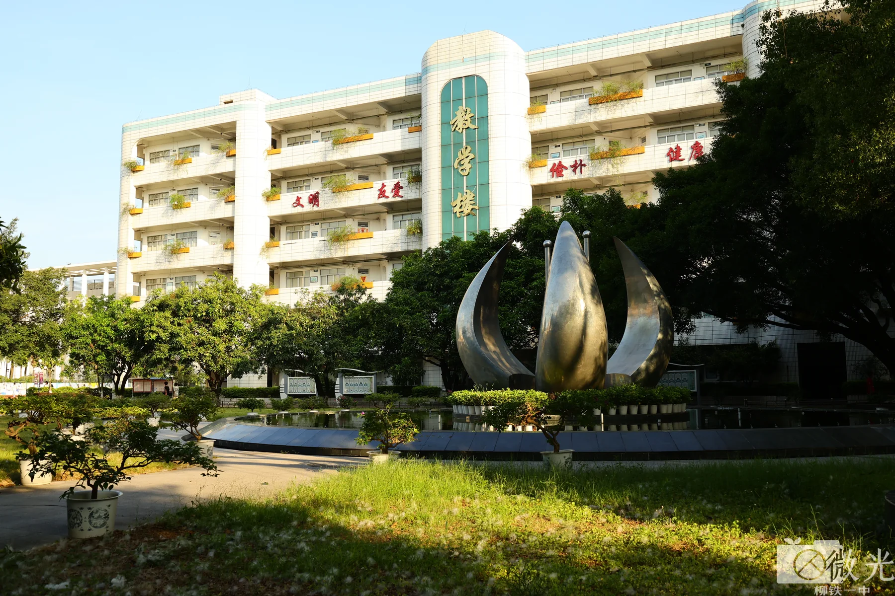 教学楼前的晴天